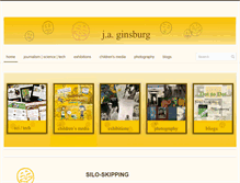 Tablet Screenshot of jaginsburg.com